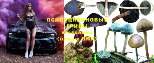 ECSTASY Мегион