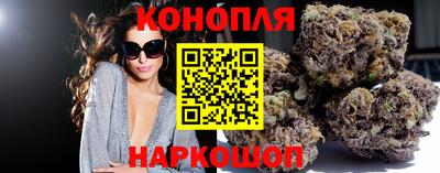 гидропоника Камышлов