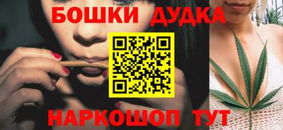 гидропоника Камышлов