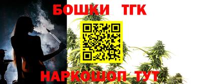 гидропоника Камышлов