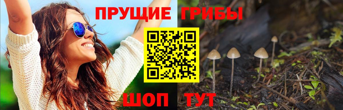 Галлюциногенные грибы ЛСД Карасук