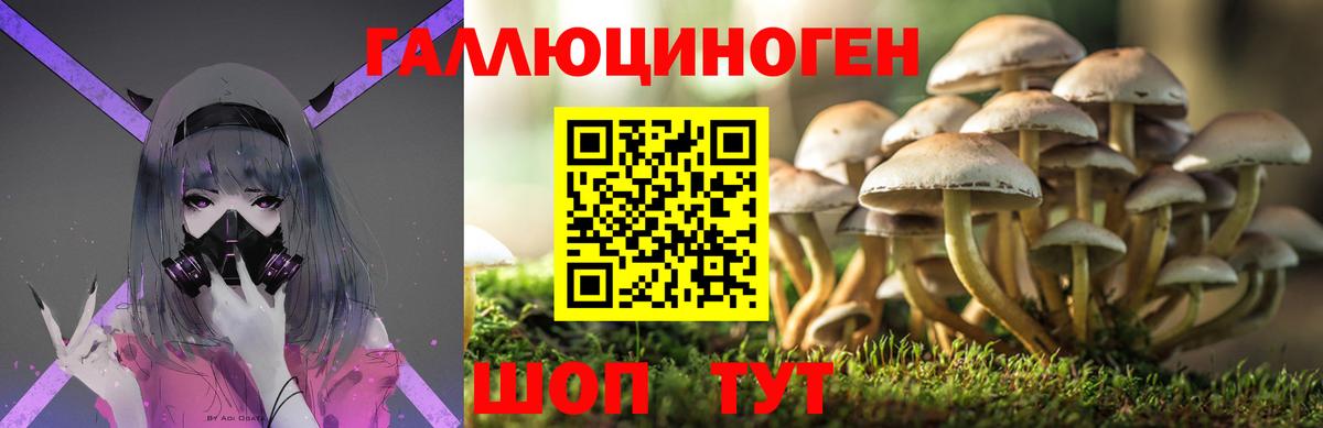 Псилоцибиновые грибы Magic Shrooms  купить   Карасук  Псилоцибиновые грибы прущие грибы 
